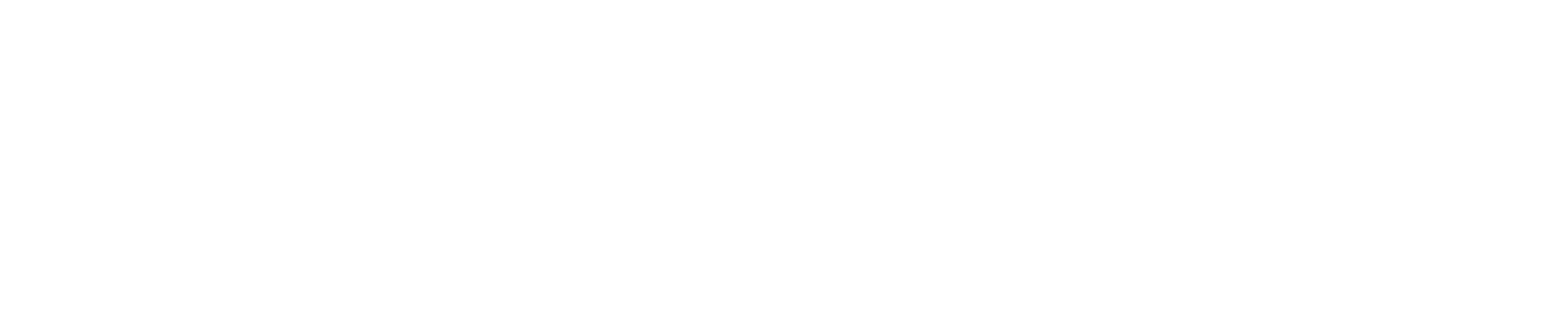 CampDoc Logo