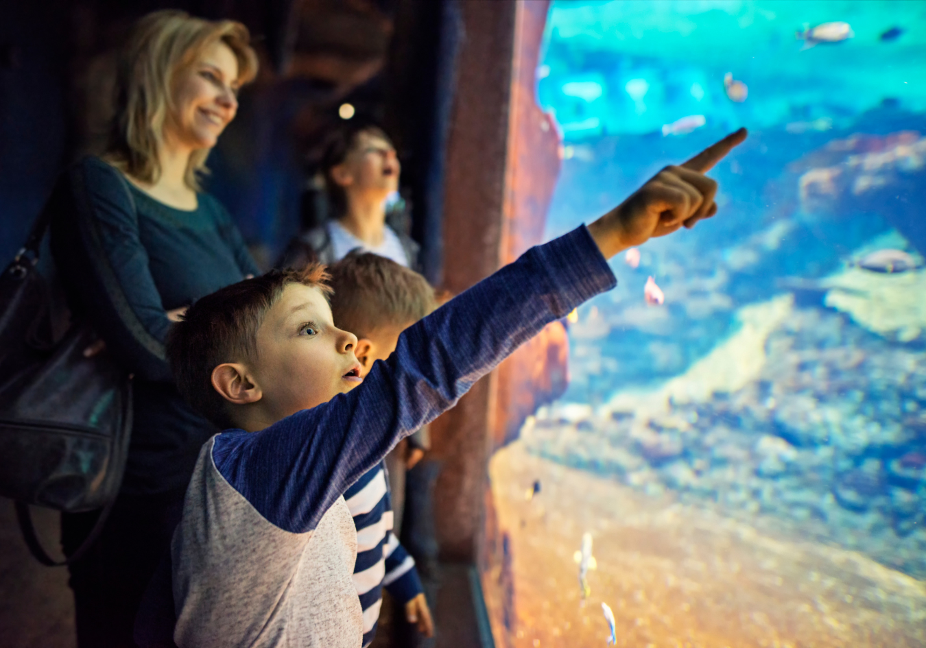 A group of kids at an aquarium summer camp standing in front of a water tank, fascinated by the sea life as they observe fish and marine creatures in a vibrant, educational setting.