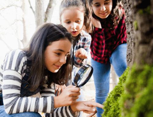 February CampDoc & SchoolDoc Webinars – Get the Most Out of Your Registration & Financial Tools!