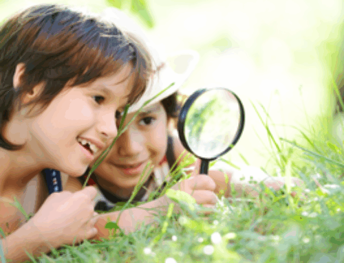 Discover what’s new in CampDoc & SchoolDoc at our December webinars!